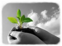 /album/confianza5/images-2-jpg5/